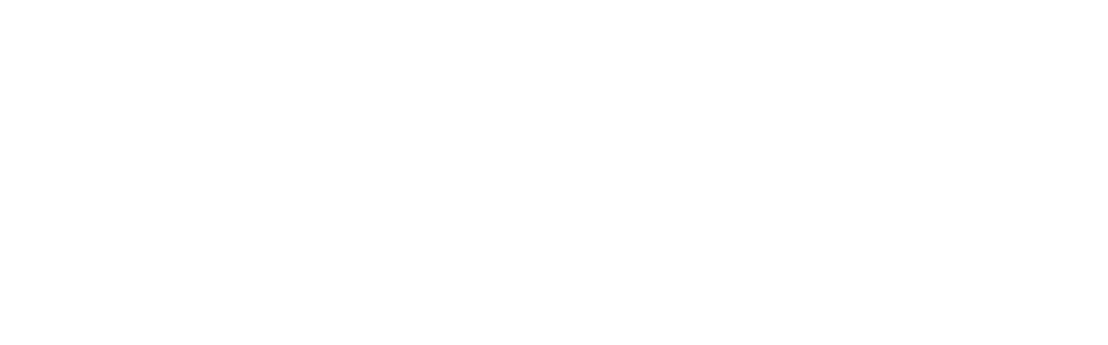 netgen